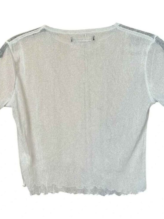 Tops - Brandy Melville Sheer White Short Sleeve Crop Top